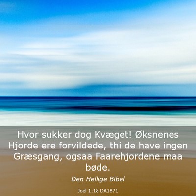Picture 03 - Joel 1:18 DA1871 - Hvor sukker dog Kvæget! Øksnenes Hjorde ere - Bible Verse Picture