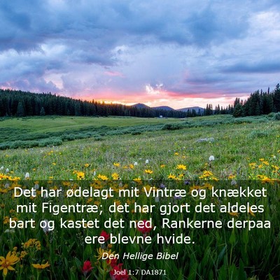 Picture 03 - Joel 1:7 DA1871 - Det har ødelagt mit Vintræ og knækket mit - Bible Verse Picture