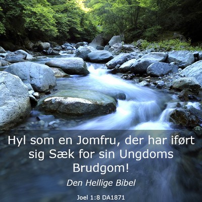 Picture 03 - Joel 1:8 DA1871 - Hyl som en Jomfru, der har iført sig Sæk for - Bible Verse Picture