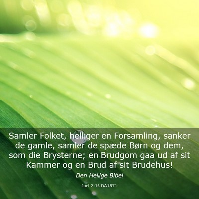 Picture 03 - Joel 2:16 DA1871 - Samler Folket, helliger en Forsamling, sanker de - Bible Verse Picture