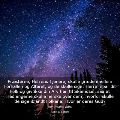Picture 03 - Joel 2:17 DA1871 - Præsterne, Herrens Tjenere, skulle græde - Bible Verse Picture