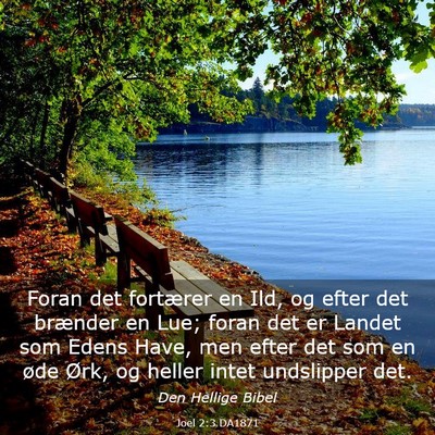 Picture 03 - Joel 2:3 DA1871 - Foran det fortærer en Ild, og efter det brænder - Bible Verse Picture