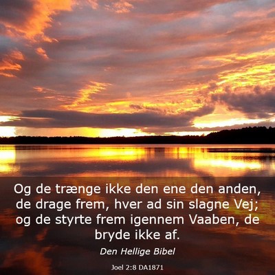 Picture 03 - Joel 2:8 DA1871 - Og de trænge ikke den ene den anden, de drage - Bible Verse Picture
