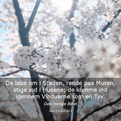 Picture 03 - Joel 2:9 DA1871 - De løbe om i Staden, rende paa Muren, stige ind - Bible Verse Picture