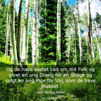 Picture 03 - Joel 3:8 DA1871 - Og de have kastet Lod om mit Folk og givet en ung - Bible Verse Picture