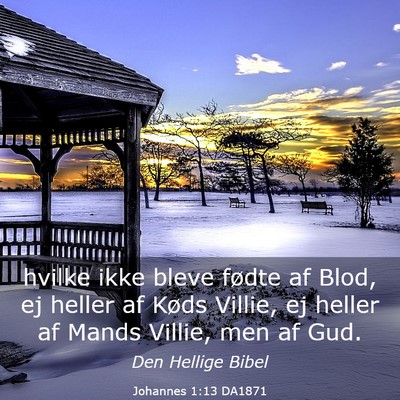Picture 03 - Johannes 1:13 DA1871 - hvilke ikke bleve fødte af Blod, ej heller af - Bible Verse Picture