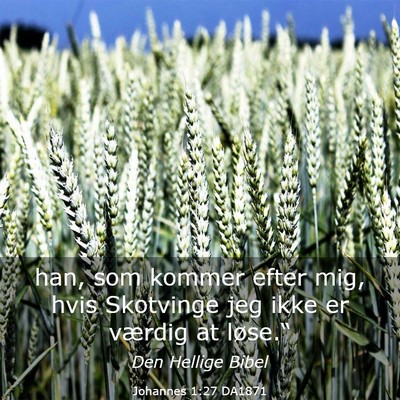 Picture 03 - Johannes 1:27 DA1871 - han, som kommer efter mig, hvis Skotvinge jeg - Bible Verse Picture