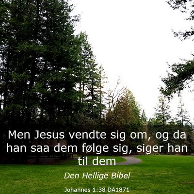 Picture 03 - Johannes 1:38 DA1871 - Men Jesus vendte sig om, og da han saa dem følge - Bible Verse Picture
