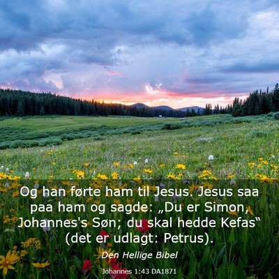 Picture 03 - Johannes 1:43 DA1871 - Og han førte ham til Jesus. Jesus saa paa ham og - Bible Verse Picture