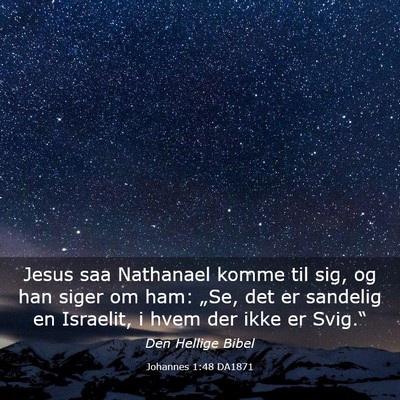 Picture 03 - Johannes 1:48 DA1871 - Jesus saa Nathanael komme til sig, og han siger - Bible Verse Picture