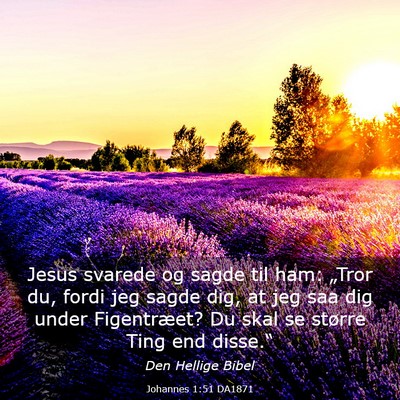 Picture 03 - Johannes 1:51 DA1871 - Jesus svarede og sagde til ham: „Tror du, fordi - Bible Verse Picture