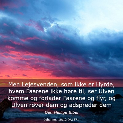 Picture 03 - Johannes 10:12 DA1871 - Men Lejesvenden, som ikke er Hyrde, hvem Faarene - Bible Verse Picture