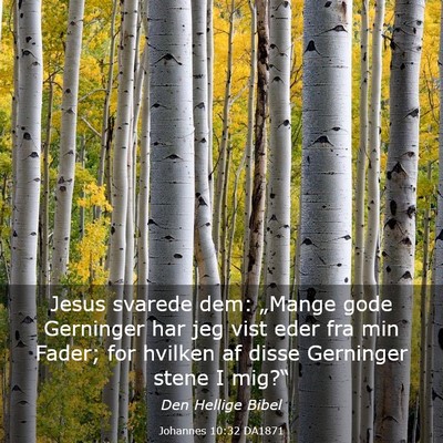 Picture 03 - Johannes 10:32 DA1871 - Jesus svarede dem: „Mange gode Gerninger har - Bible Verse Picture