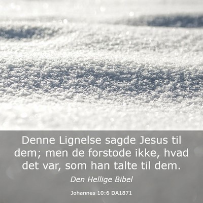Picture 03 - Johannes 10:6 DA1871 - Denne Lignelse sagde Jesus til dem; men de - Bible Verse Picture