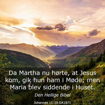 Picture 03 - Johannes 11:20 DA1871 - Da Martha nu hørte, at Jesus kom, gik hun ham i - Bible Verse Picture