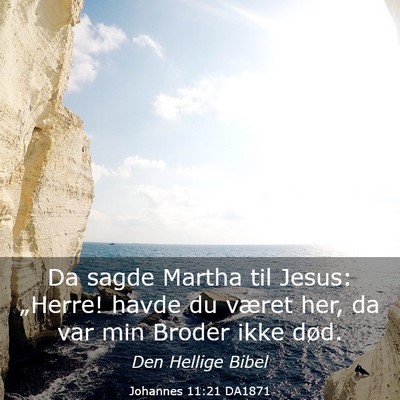 Picture 03 - Johannes 11:21 DA1871 - Da sagde Martha til Jesus: „Herre! havde du - Bible Verse Picture
