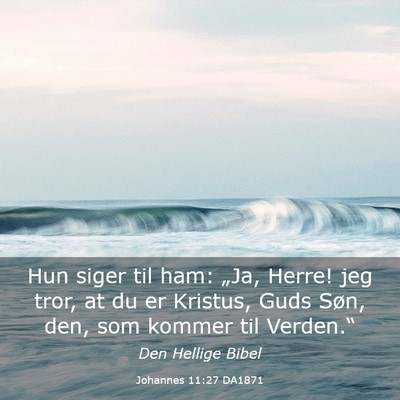Picture 03 - Johannes 11:27 DA1871 - Hun siger til ham: „Ja, Herre! jeg tror, at du - Bible Verse Picture