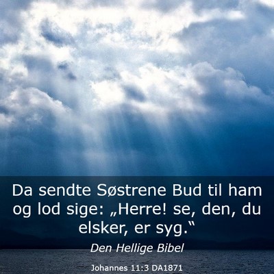 Picture 03 - Johannes 11:3 DA1871 - Da sendte Søstrene Bud til ham og lod sige: - Bible Verse Picture