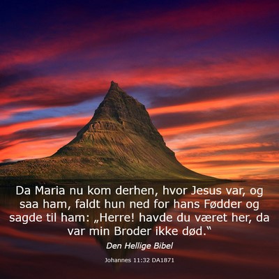 Picture 03 - Johannes 11:32 DA1871 - Da Maria nu kom derhen, hvor Jesus var, og saa - Bible Verse Picture