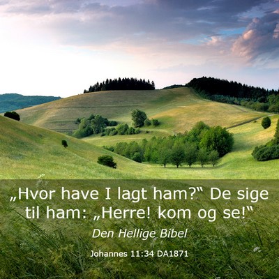 Picture 03 - Johannes 11:34 DA1871 - „Hvor have I lagt ham?“ De sige til ham: - Bible Verse Picture