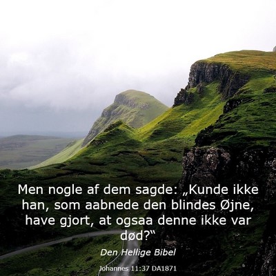 Picture 03 - Johannes 11:37 DA1871 - Men nogle af dem sagde: „Kunde ikke han, som - Bible Verse Picture