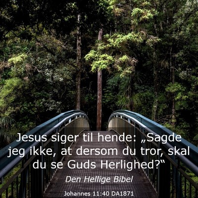 Picture 03 - Johannes 11:40 DA1871 - Jesus siger til hende: „Sagde jeg ikke, at - Bible Verse Picture
