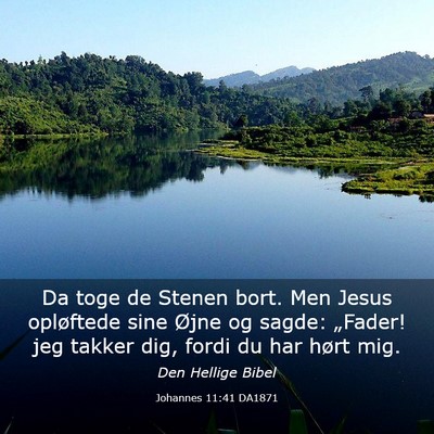 Picture 03 - Johannes 11:41 DA1871 - Da toge de Stenen bort. Men Jesus opløftede sine - Bible Verse Picture
