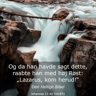Picture 03 - Johannes 11:43 DA1871 - Og da han havde sagt dette, raabte han med høj - Bible Verse Picture