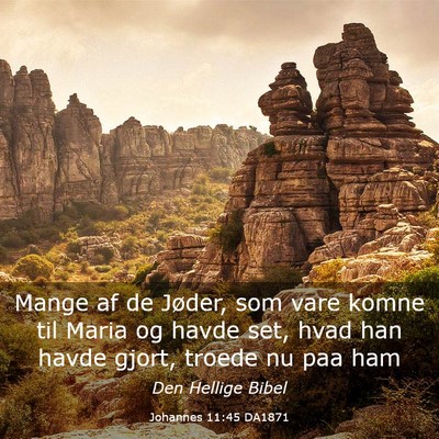 Picture 03 - Johannes 11:45 DA1871 - Mange af de Jøder, som vare komne til Maria og - Bible Verse Picture