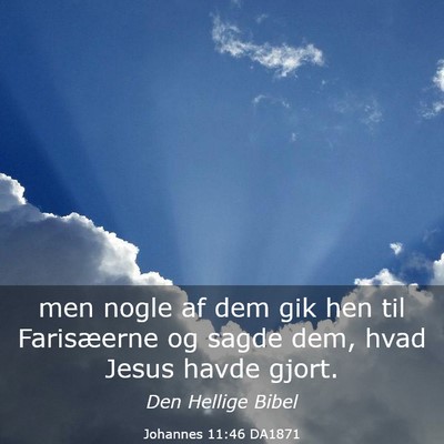 Picture 03 - Johannes 11:46 DA1871 - men nogle af dem gik hen til Farisæerne og sagde - Bible Verse Picture