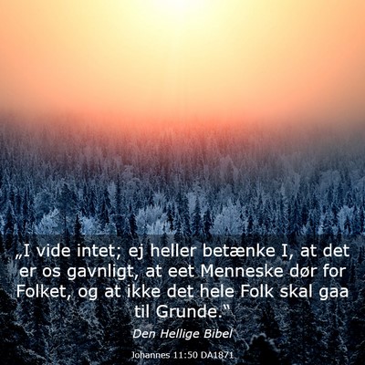 Picture 03 - Johannes 11:50 DA1871 - „I vide intet; ej heller betænke I, at det er - Bible Verse Picture