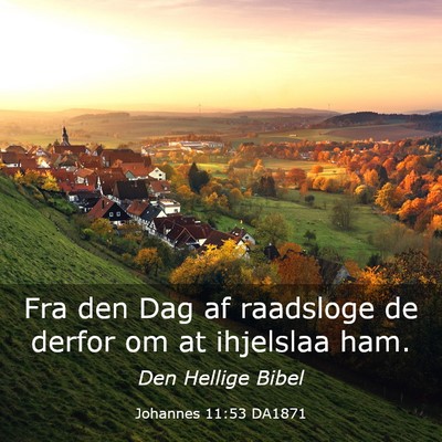 Picture 03 - Johannes 11:53 DA1871 - Fra den Dag af raadsloge de derfor om at - Bible Verse Picture