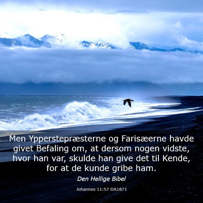 Picture 03 - Johannes 11:57 DA1871 - Men Ypperstepræsterne og Farisæerne havde givet - Bible Verse Picture