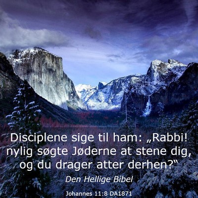 Picture 03 - Johannes 11:8 DA1871 - Disciplene sige til ham: „Rabbi! nylig søgte - Bible Verse Picture