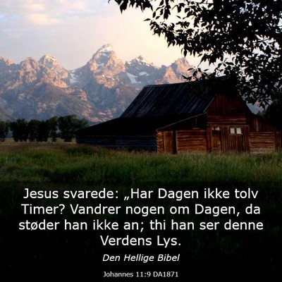 Picture 03 - Johannes 11:9 DA1871 - Jesus svarede: „Har Dagen ikke tolv Timer? - Bible Verse Picture