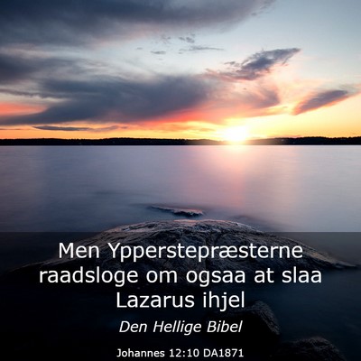 Picture 03 - Johannes 12:10 DA1871 - Men Ypperstepræsterne raadsloge om ogsaa at slaa - Bible Verse Picture