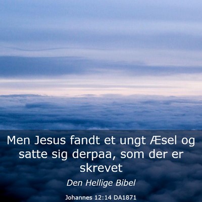 Picture 03 - Johannes 12:14 DA1871 - Men Jesus fandt et ungt Æsel og satte sig - Bible Verse Picture
