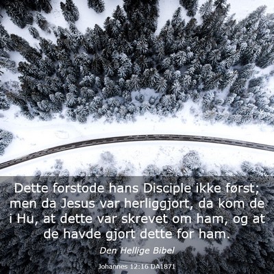Picture 03 - Johannes 12:16 DA1871 - Dette forstode hans Disciple ikke først; men da - Bible Verse Picture
