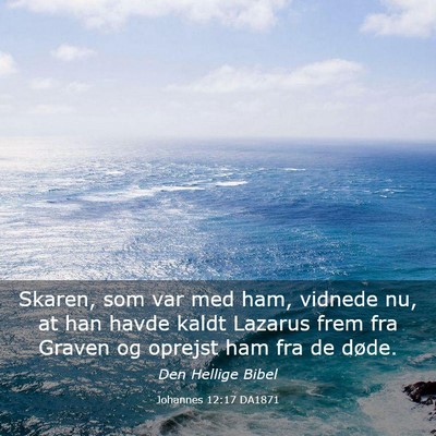 Picture 03 - Johannes 12:17 DA1871 - Skaren, som var med ham, vidnede nu, at han havde - Bible Verse Picture