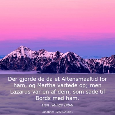 Picture 03 - Johannes 12:2 DA1871 - Der gjorde de da et Aftensmaaltid for ham, og - Bible Verse Picture