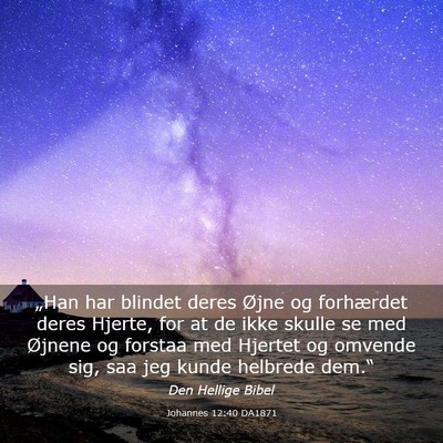 Picture 03 - Johannes 12:40 DA1871 - „Han har blindet deres Øjne og forhærdet - Bible Verse Picture