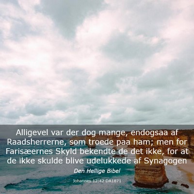 Picture 03 - Johannes 12:42 DA1871 - Alligevel var der dog mange, endogsaa af - Bible Verse Picture