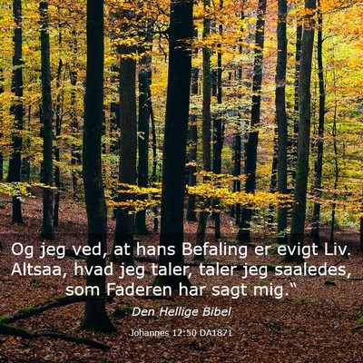 Picture 03 - Johannes 12:50 DA1871 - Og jeg ved, at hans Befaling er evigt Liv. - Bible Verse Picture