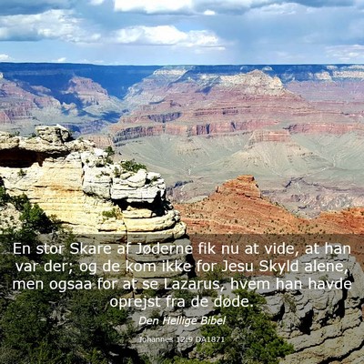 Picture 03 - Johannes 12:9 DA1871 - En stor Skare af Jøderne fik nu at vide, at han - Bible Verse Picture