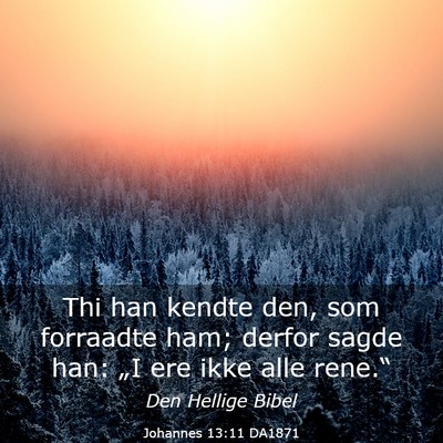 Picture 03 - Johannes 13:11 DA1871 - Thi han kendte den, som forraadte ham; derfor - Bible Verse Picture