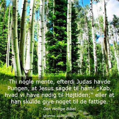 Picture 03 - Johannes 13:29 DA1871 - Thi nogle mente, efterdi Judas havde Pungen, at - Bible Verse Picture