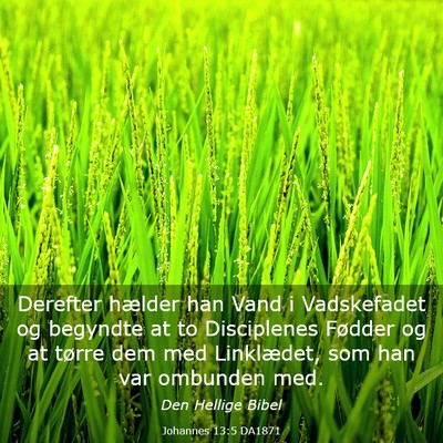 Picture 03 - Johannes 13:5 DA1871 - Derefter hælder han Vand i Vadskefadet og - Bible Verse Picture
