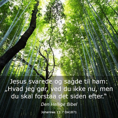 Picture 03 - Johannes 13:7 DA1871 - Jesus svarede og sagde til ham: „Hvad jeg gør, - Bible Verse Picture