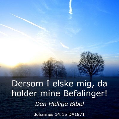 Picture 03 - Johannes 14:15 DA1871 - Dersom I elske mig, da holder mine - Bible Verse Picture