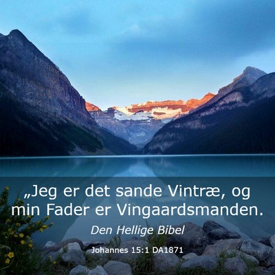 Picture 03 - Johannes 15:1 DA1871 - „Jeg er det sande Vintræ, og min Fader er - Bible Verse Picture